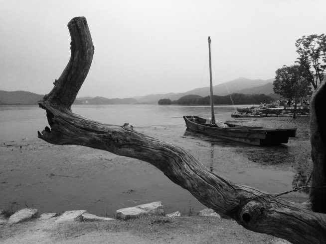 🌱민주주의 회복🌱간절한 벡터 tweet media