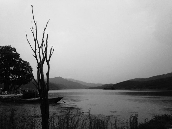 🌱민주주의 회복🌱간절한 벡터 tweet media