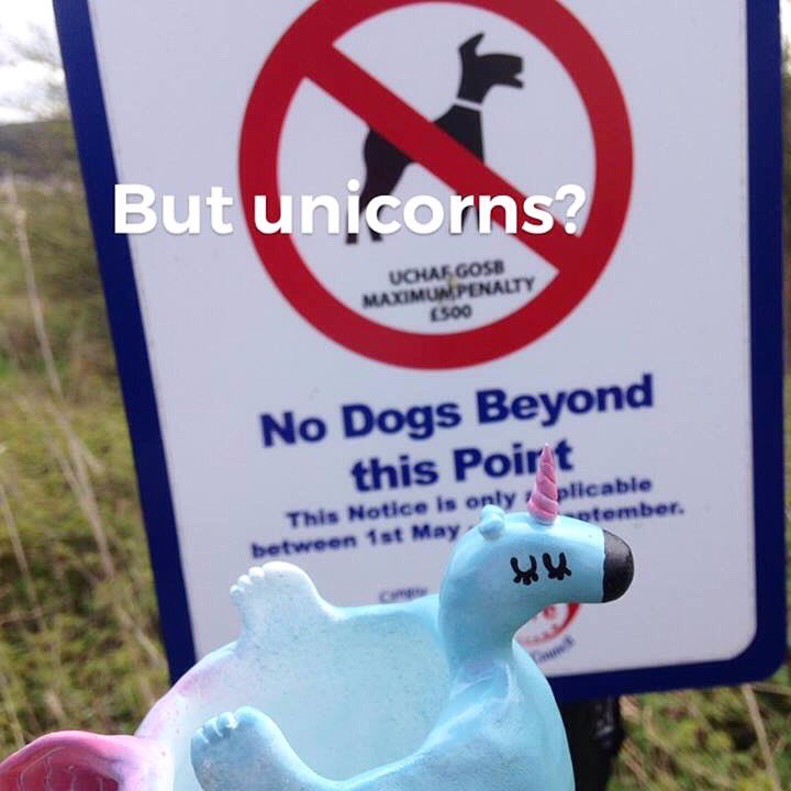 hilumpyunicorn's tweet image. 🦄🦄 bank holiday weekend ❤️ #sign