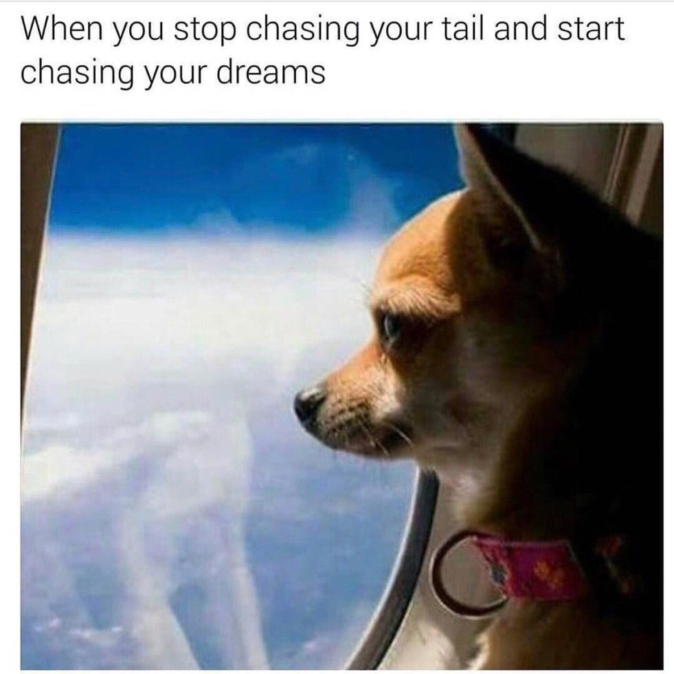 FunnyPicsDepot's tweet photo. inspiring af https://t.co/91pCPdF52L