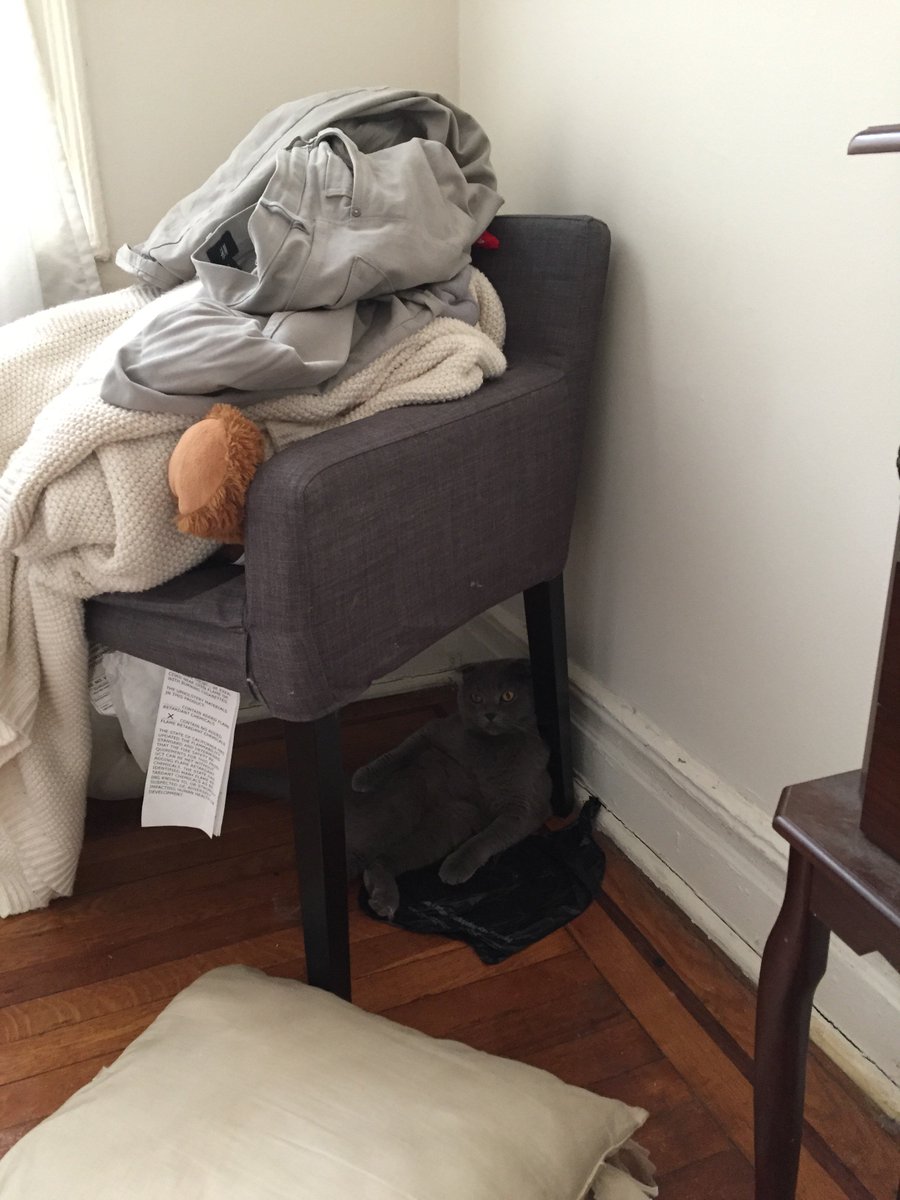 Serenity Discko tweet media