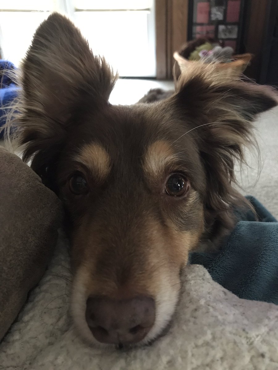 Apple, pwease mommy!?