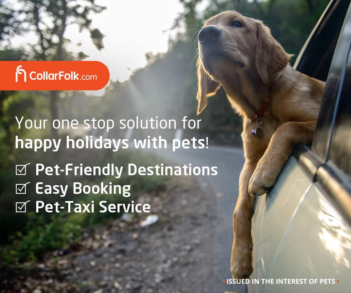 CollarFolk's tweet photo. We make #VacationsWithPets safe, easy and fun. This summer, book your vacation with pets through https://t.co/OsmBpdJHw2 https://t.co/HZGiyWxAuG