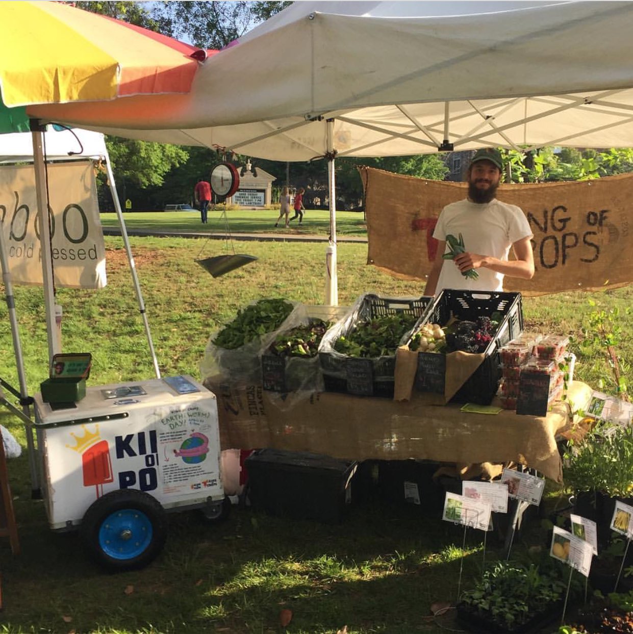 King of Crops on Twitter get your fresh produce & native