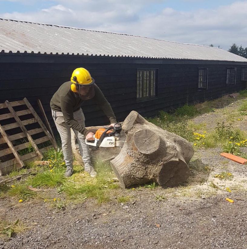 LiveEdge_'s tweet image. Just another day in the office 😄☀️

Love it when a new piece of wood arrives.. let the brain storming commence!
#LiveEdge #InteriorDesign