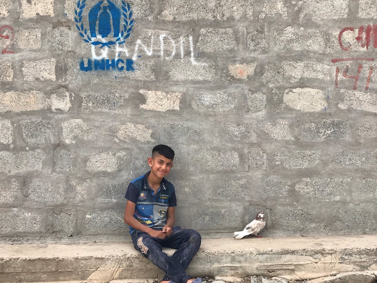 #Smileoftehweek Samer,13, displaced from al-Dor Salah al-Din looks after his pet dove,Misky,in UNHCR's Arbat camp in Sulaymaniyah @Refugees