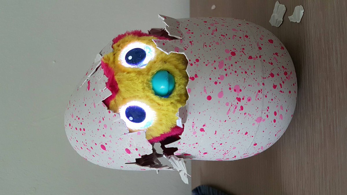 BHeulsen's tweet photo. Kookoo i'm out of my egg! #hatchimals #pengaulas #egg #happy #child https://t.co/FyKizKmfKZ