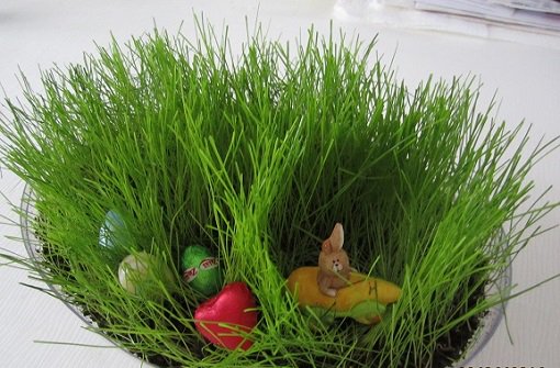 AppelAni's tweet photo. Lunta tippui hiljalleen, tippukoon vaan. Hyvää pääsiäisaikaa Twitterlandiaan. Tipe tip tip tap.🐣 https://t.co/n4kPxuRLHN