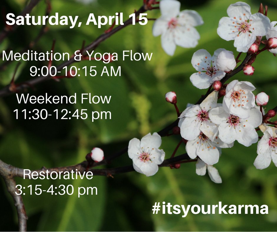 It's plum blossom season! And it's always yoga season! #itsyourkarma