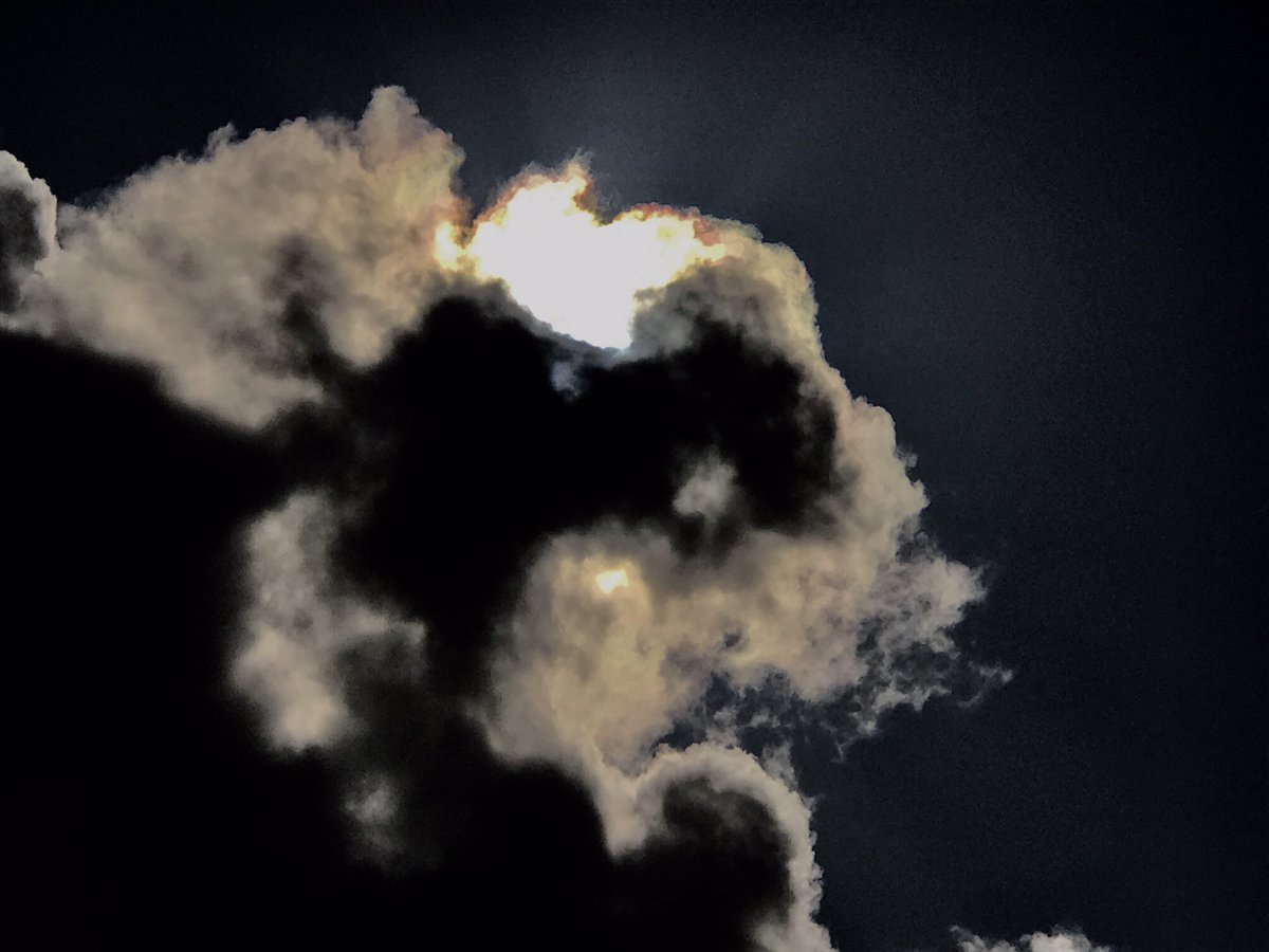 sandramardene's tweet photo. @ds106dc They are watching us from the clouds, the dogs of the Gods. Earth is their dog park. #tdc1924 #ds106 https://t.co/aRVQkgPXSR