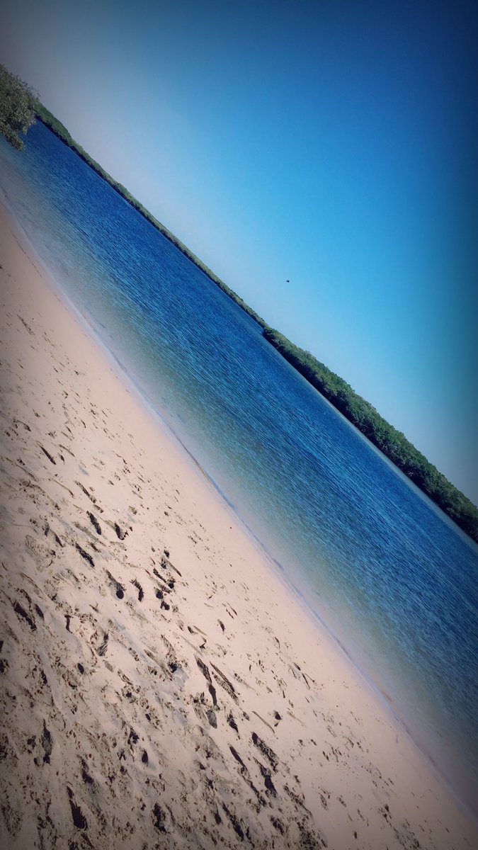 Obocart's tweet photo. @Foro_TV saludos desde B.C.S. Playa de San Carlos https://t.co/3LqVLAPt6x