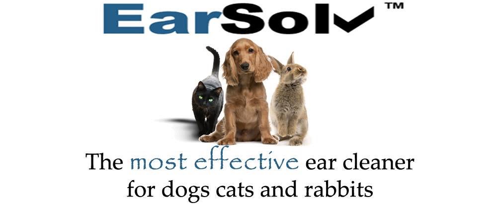 EarSolv's tweet image. Happy Easter everybody #dogs #easter #doodles #cockerpoo #spaniels