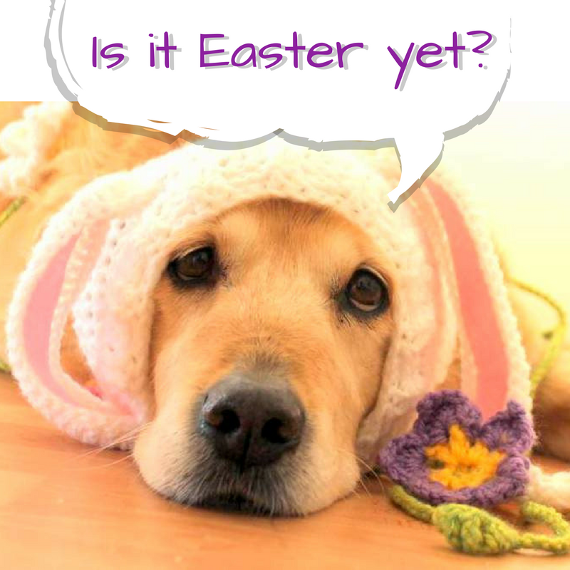 PawsomeCrochet's tweet photo. Every morning, my kids be like... ;-)  Happy Easter weekend everyone. https://t.co/TL12P69jXu