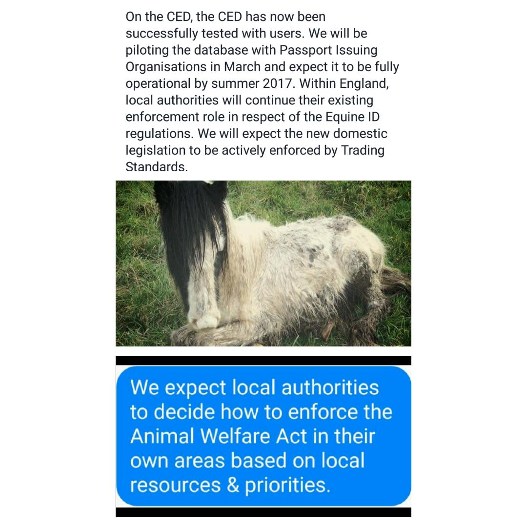 WE_HTHW2015's tweet photo. @ConservativeAWF Have never seen you tweet about the UK Horse Crisis; do you know anything about it ? Would you like to ? https://t.co/xpajVppMlp