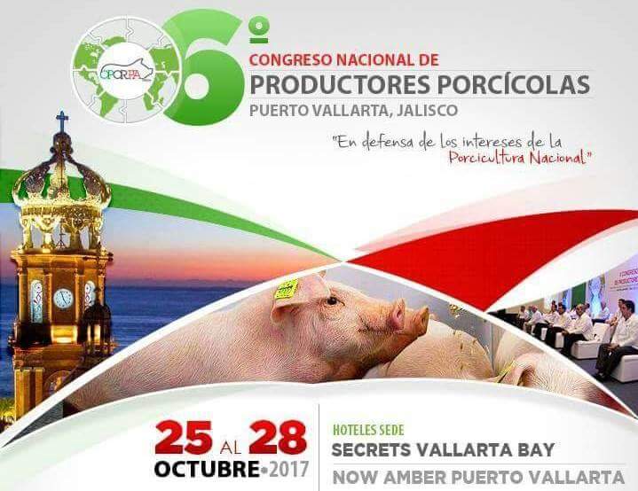 VisionPorcina's tweet image. Asiste al 6° Congreso Nacional de Productores Porcícolas 
¡No faltes! #VisiónPorcina
visionporcina.com/oporpa