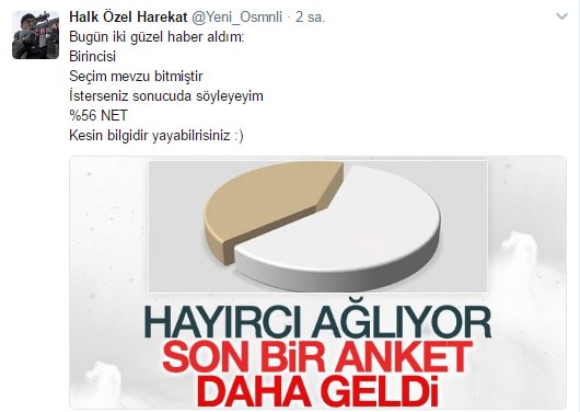 sollcephe tweet picture