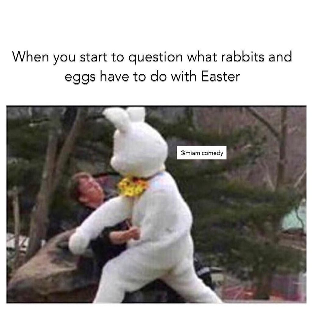 MiamiComedycom's tweet photo. Just don't ask and eat another peep 🐣🐰#Miami #miamicomedy #miamieaster #miamirabbit #miamifight #miamisunday #east… https://t.co/2ArSU875el https://t.co/mR8knsd99K