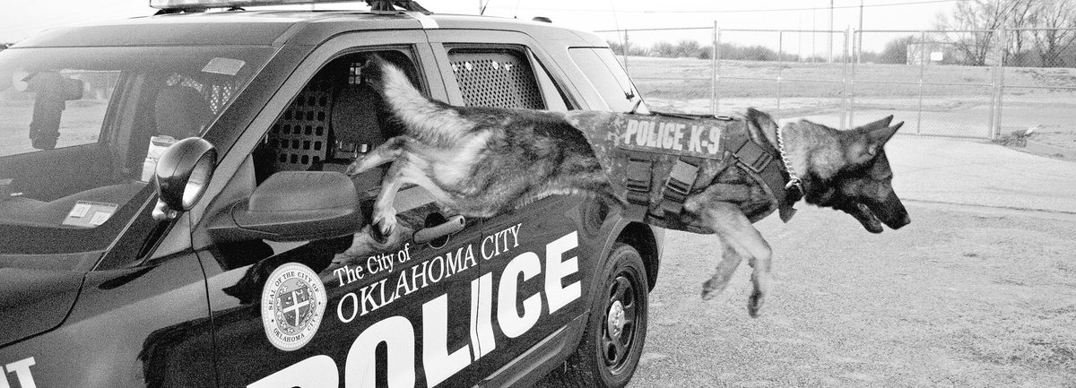 OKCPD's tweet photo. Please #retweet to help us reach more followers! https://t.co/2Ocr8QZurk