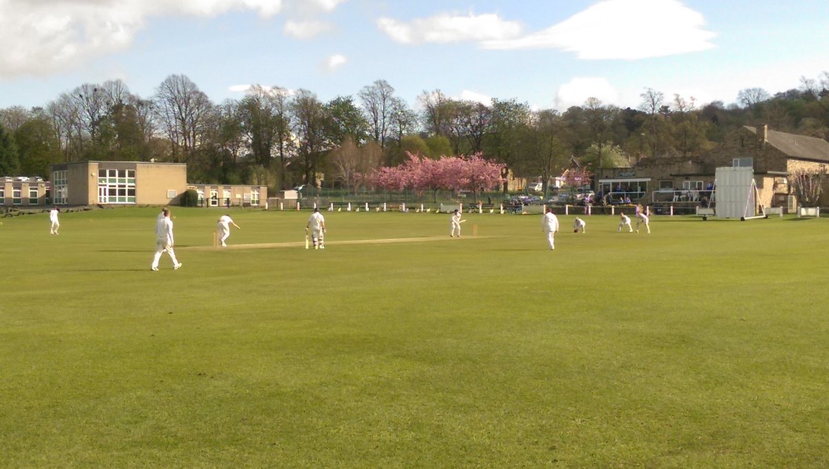 Pool Cricket Club tweet media