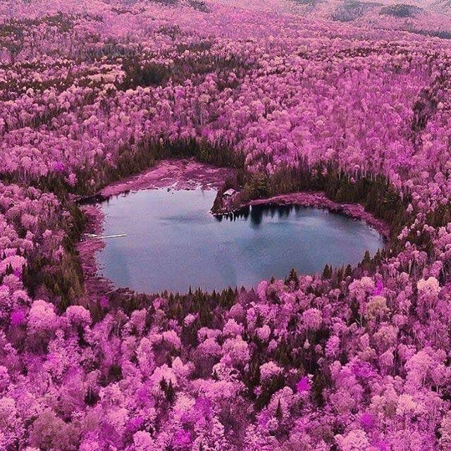 #Twitter Friends Happy #Easter
🌹😍😘💕🎉🎉🥚🎊🎊
<a href="/MarionSpekker/">Marion Spekker</a>