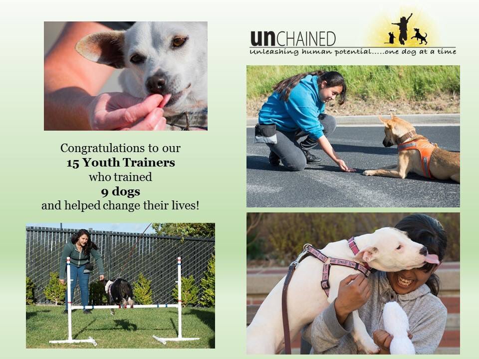 livingunchained's tweet photo. Congrats to the 15 youth trainers who graduated from our program this cycle. They did an incredible job changing dogs' lives, and their own! https://t.co/BjxDO4tcL7