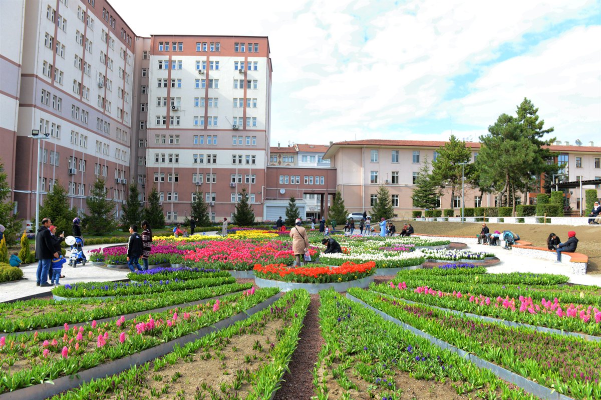 Lale Şehri ÇORUM...

facebook.com/kulcumuzaffer/