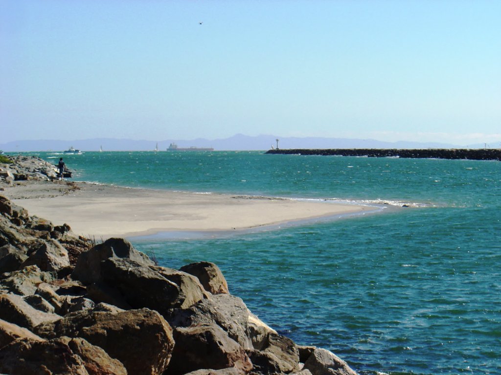 mandmsurf's tweet photo. Join us on beautiful Seal Beach!
#Cali #surf #surfing #waves #surflife https://t.co/ibxm3utrIP