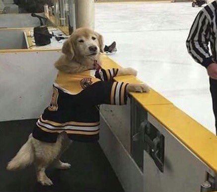 HockeyPerks's tweet image. 2 minutes for ruffing