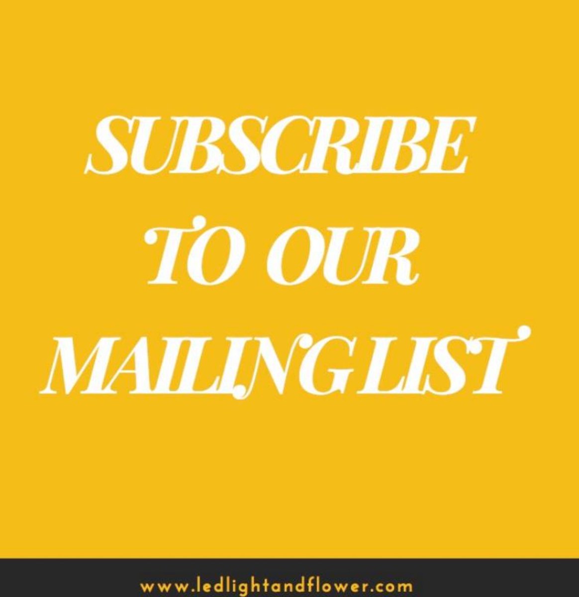 LEDlightflower's tweet photo. To stay up to date, make sure you subscribe to our mailing list! #LED #LEDLightAndFlower #HP4s #IndoorGrow https://t.co/FCld91VFRa