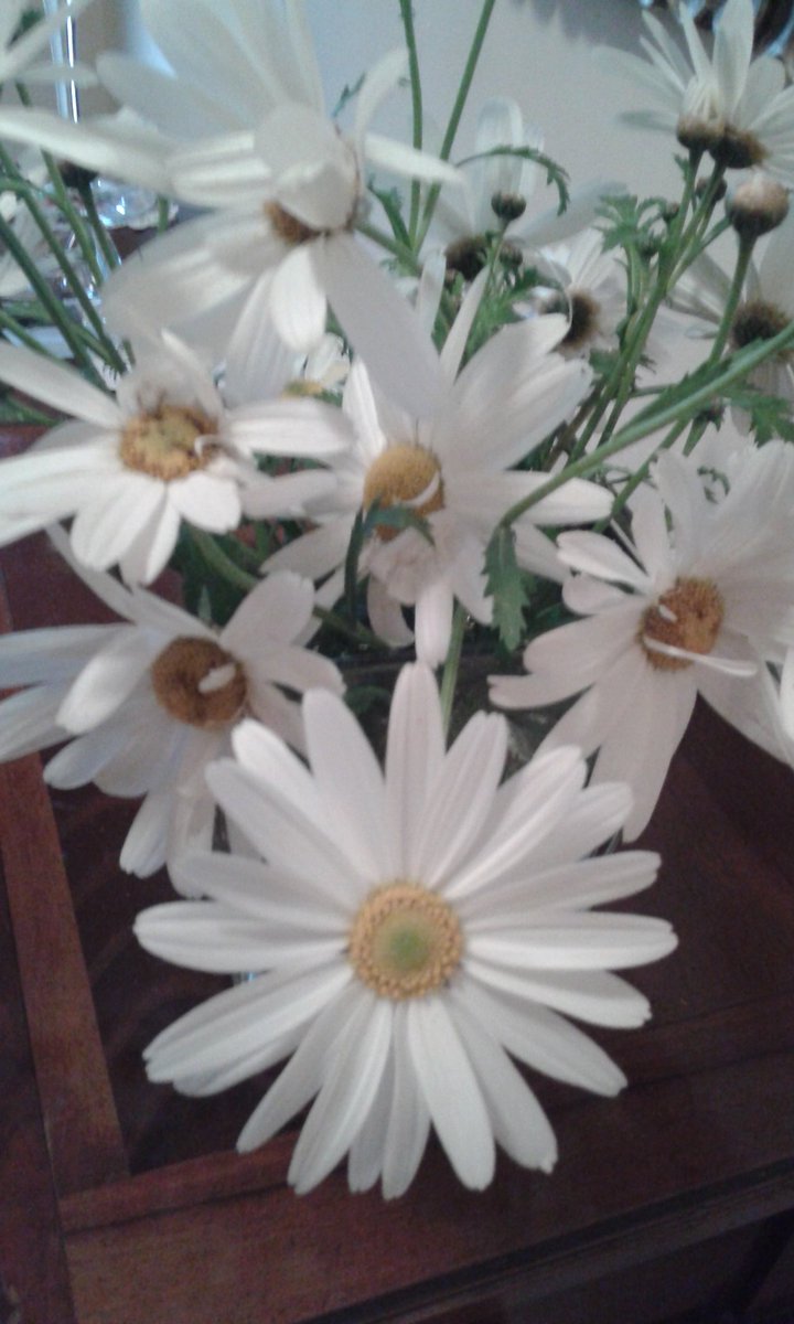 anna34514540's tweet photo. @theplrstore_com Buona Pasqua a tutti https://t.co/tttSJKgsQV