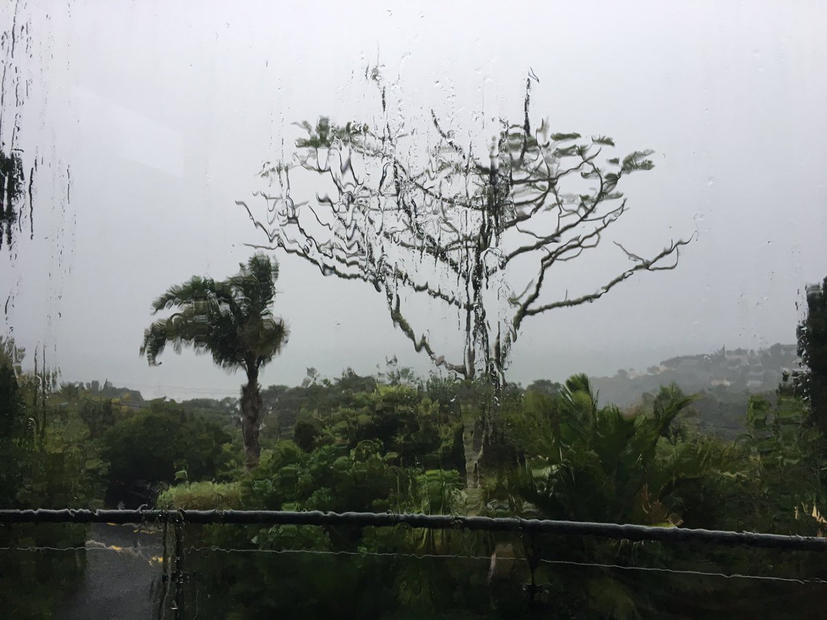 GillianNicholl8's tweet image. Tropical Cyclone Cook has passed through leaving a beautiful Easter Sunday in its wake 🐣#DryingOut