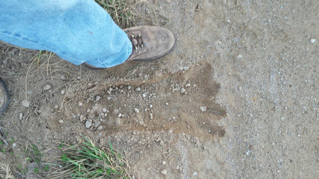 AllenbrandSells's tweet photo. Local sheriff finds Bigfoot print on Bear Creek https://t.co/9KJIIj2wT1