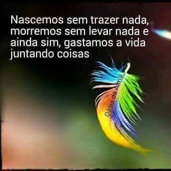 Fernanda Claudia (@fernandaclau4) on Twitter photo 