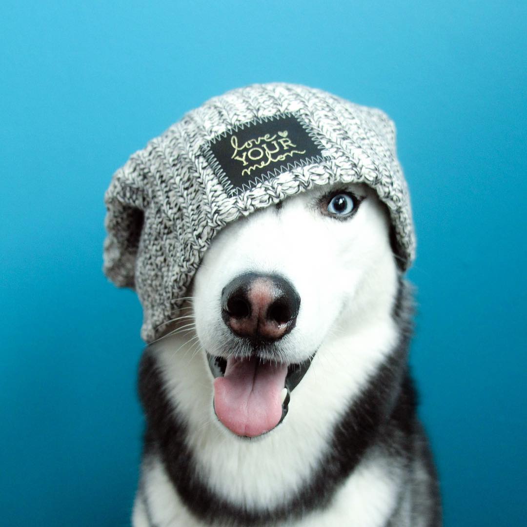 LoveYourMelon's tweet photo. Who else is excited about the weekend? Tag us to show off who you're sharing your #LYM gear with! #LoveYourMelon #JoinTheStory https://t.co/ojBv7v3vkZ