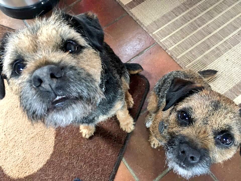 RubyTuesdayBT's tweet image. Happy birthday to the best big brother in the world, ever ever ever. You're the greatest, Chaz! Now gimme that toy!