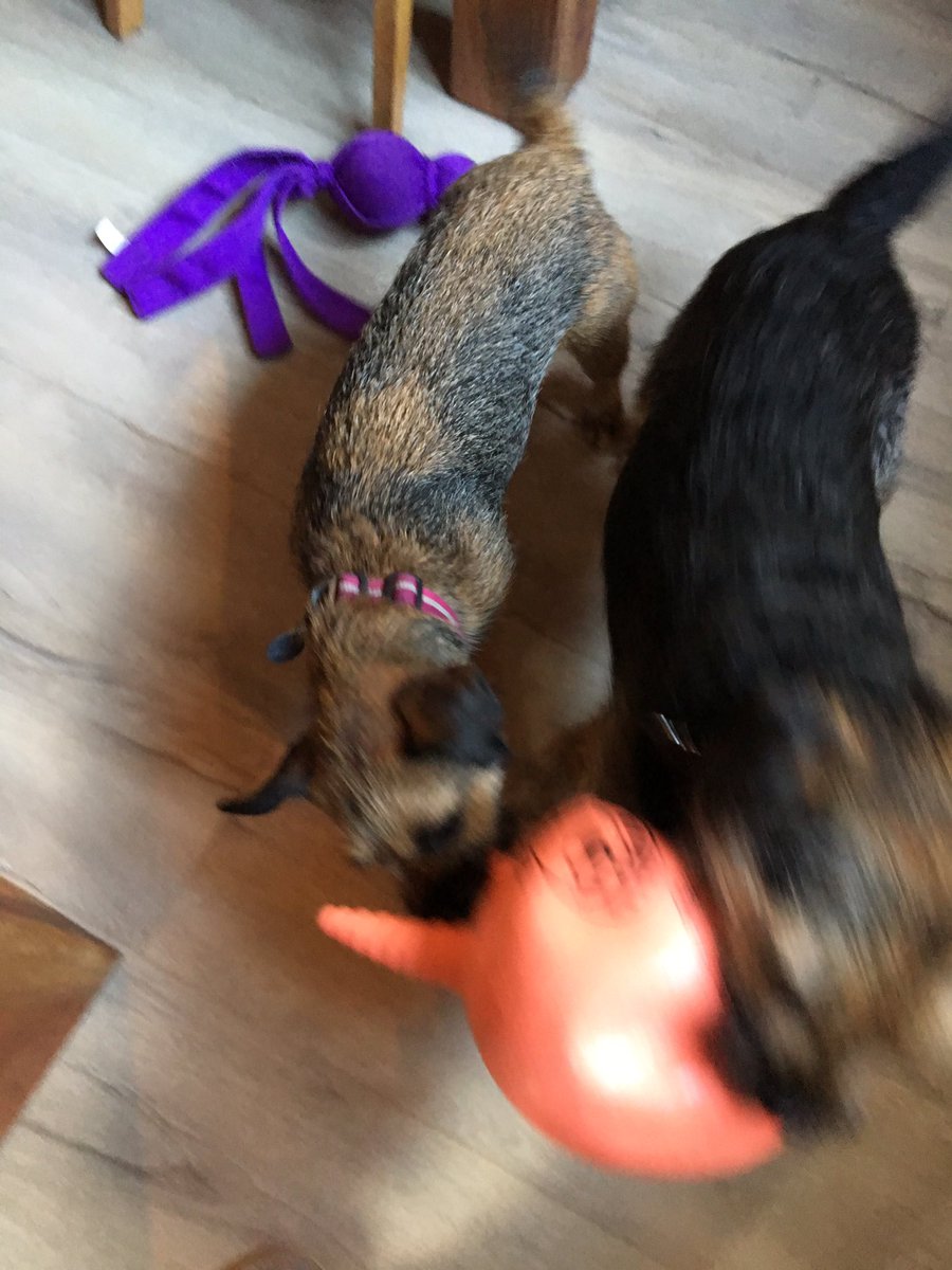 RubyTuesdayBT's tweet image. Happy birthday to the best big brother in the world, ever ever ever. You're the greatest, Chaz! Now gimme that toy!