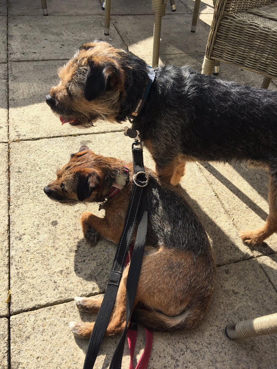 RubyTuesdayBT's tweet image. Happy birthday to the best big brother in the world, ever ever ever. You're the greatest, Chaz! Now gimme that toy!