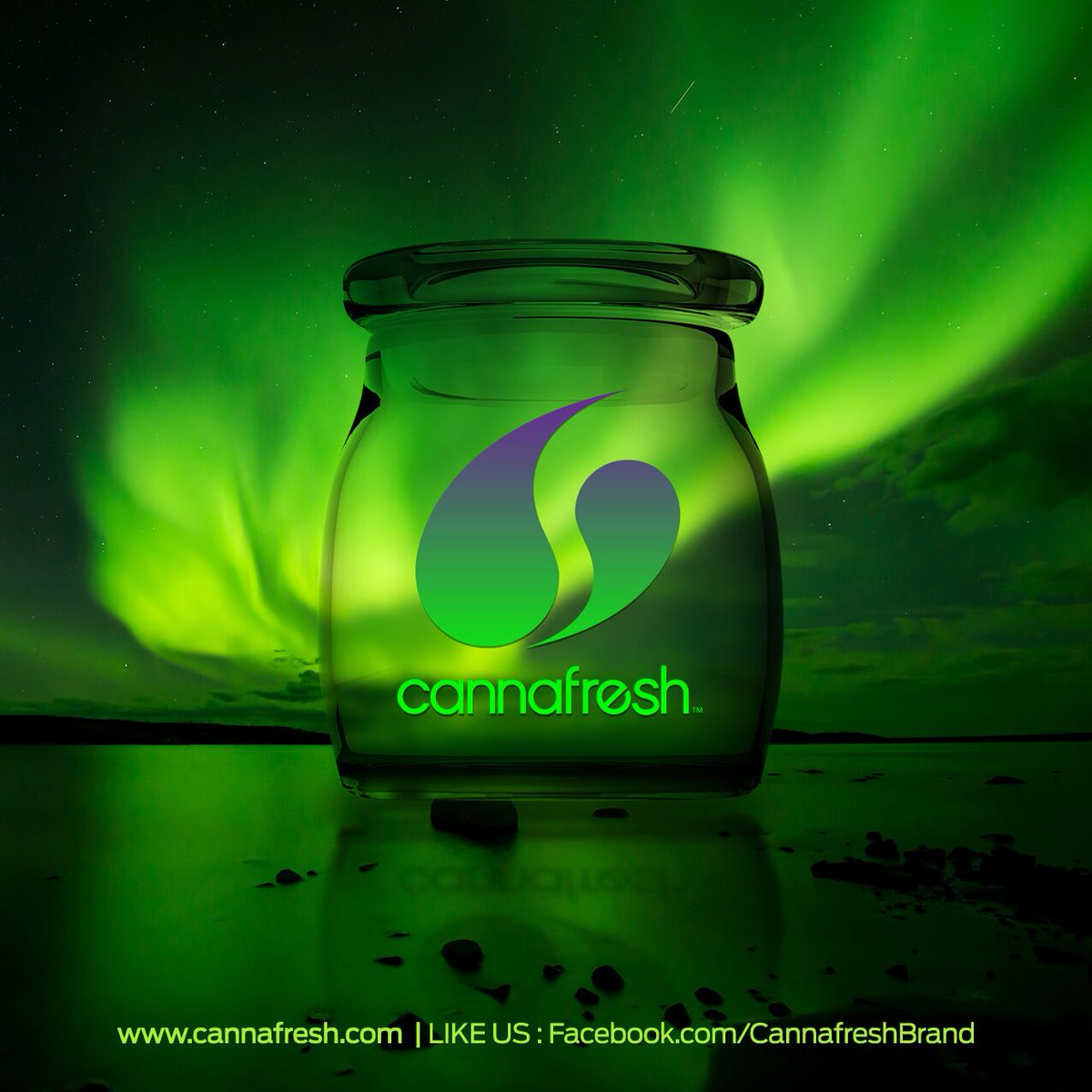 cannafreshbrand's tweet photo. When it has to be fresh, think #CannaFresh Request CannaFresh jars from your local smokeshop. Available online at https://t.co/LB0iBGfPJV. https://t.co/c43HAaqez7