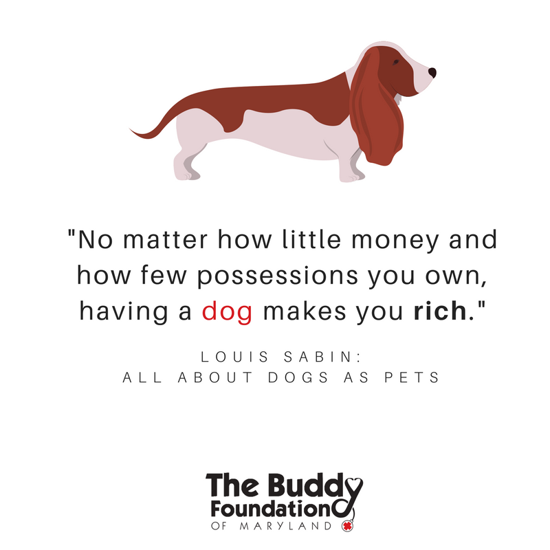 Dogs make our lives whole. 🐶 💞