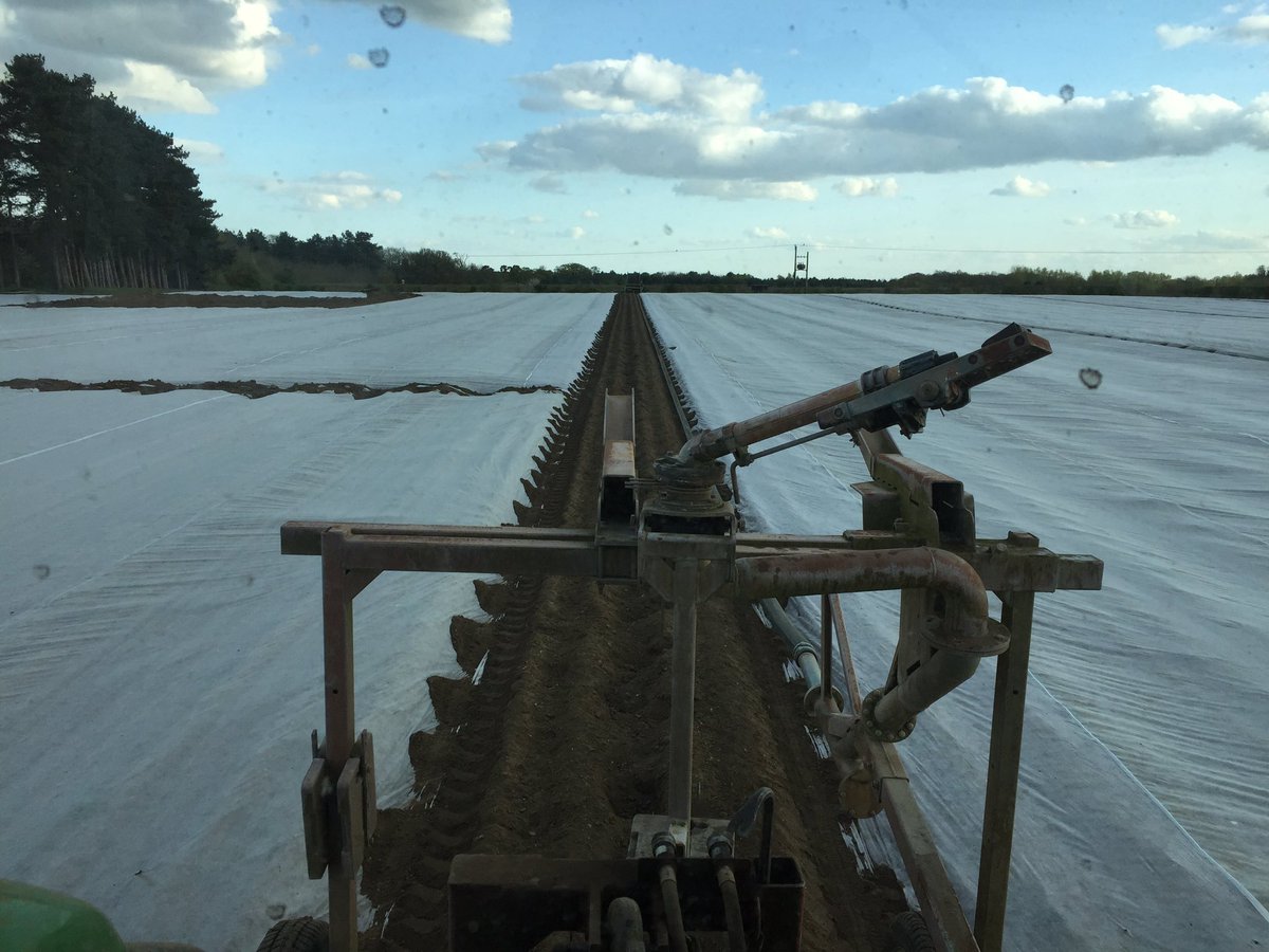 fleming_duncan's tweet photo. Marfona in need of a drink #easterwork #needrain @3musketeersltd @WestropeFarming https://t.co/T7qlN1dBQ4