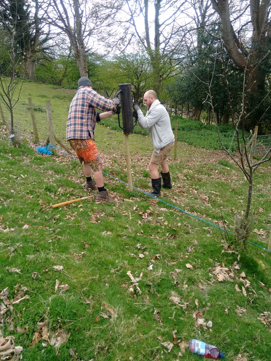 CaeMain's tweet photo. Good to have some help this week and enjoy the company too. Thanks lads! https://t.co/GBDOl6t757
