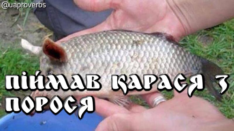 C9eEjb_XkAMQBvC.jpg:large