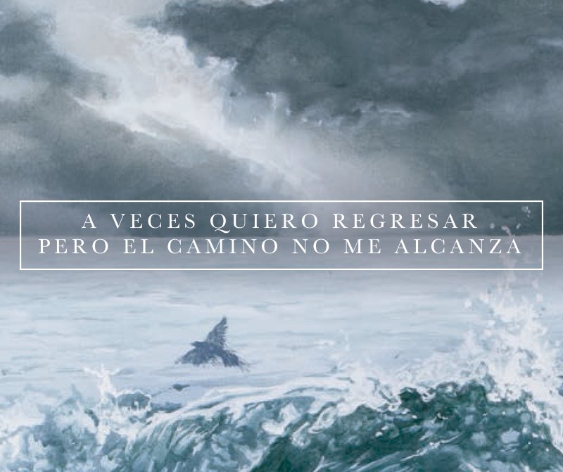 alexoficial's tweet photo. De esas canciones de #RompiendoFronteras que calan en el corazón... ¿saben cuál es? #AbajoDelAla https://t.co/iH22vZ7vM3 https://t.co/Xw67eaFFpt