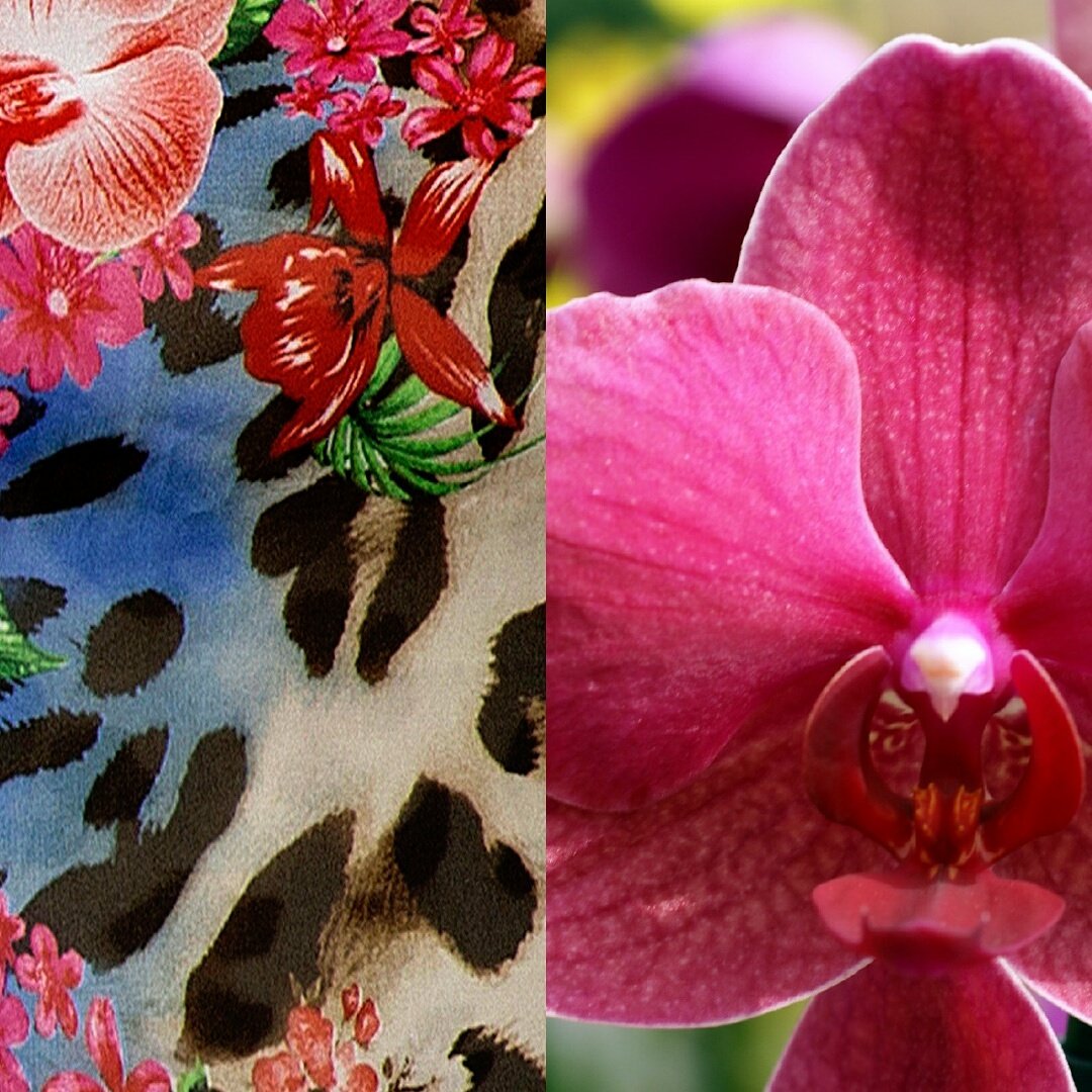 Tashi_Colombia's tweet photo. As summer progresses, flowers are everywhere 🌸 #LaVidaEsBella  #inspiration #flowerpattern https://t.co/SNeRpbsx0k