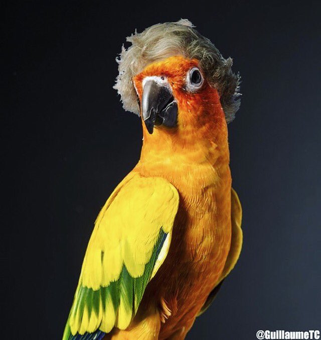 Logan Paul (@LoganPaul) | Twitter