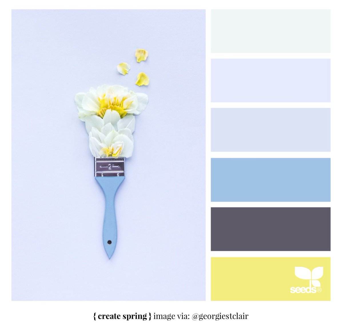 shayfrom_thebay's tweet image. Color Palette of The Day: Create Spring #DesignSeeds #Color