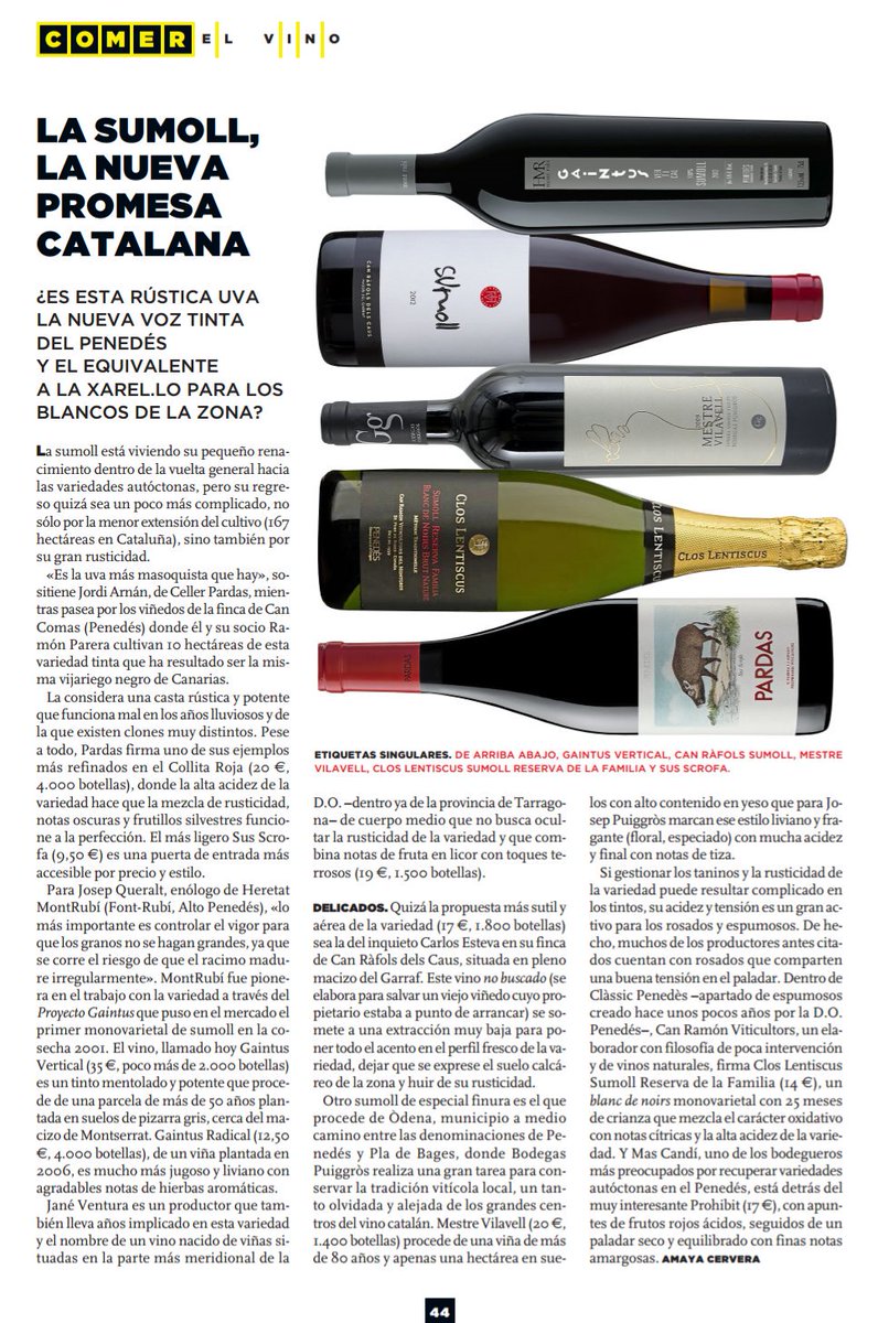 RafolsdelsCaus's tweet photo. Crece el interés por los vinos de #Sumoll. Buen artículo de Amaya Cervera en #Metrópoli de @elmundoes https://t.co/Iit5c6dwGs