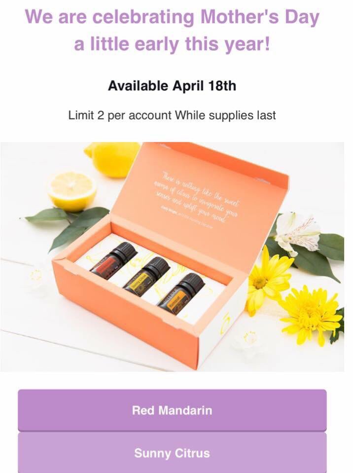 KenaiEssentials's tweet image. New oils! Red mandarin, sunny citrus blend and kumquat! 28.50