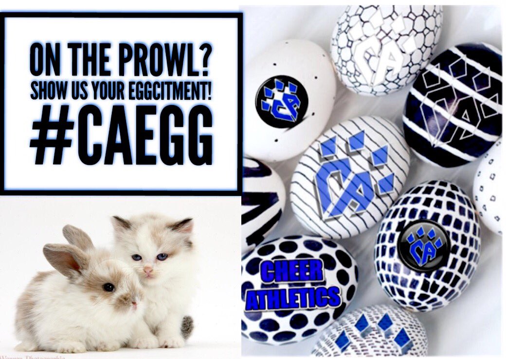 Happy Easter weekend! Decorating eggs? Make sure to tag us with your CA eggs! G3FCA2A 💙