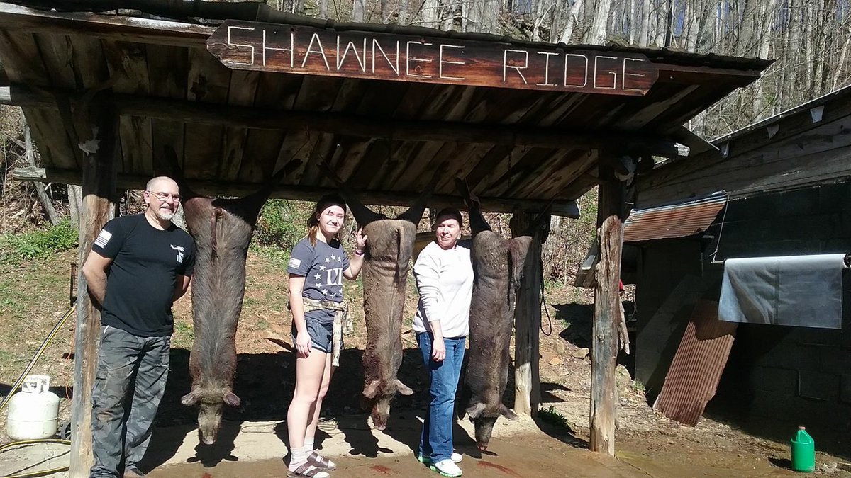 ShawneeRidgeHnt's tweet photo. Three pigs hit the ground via Mike, Lydia  (Miss .44 Special), and Suzie. And a good time was had by all! #hoghunting #shawneeridge https://t.co/eznqnCjP2a